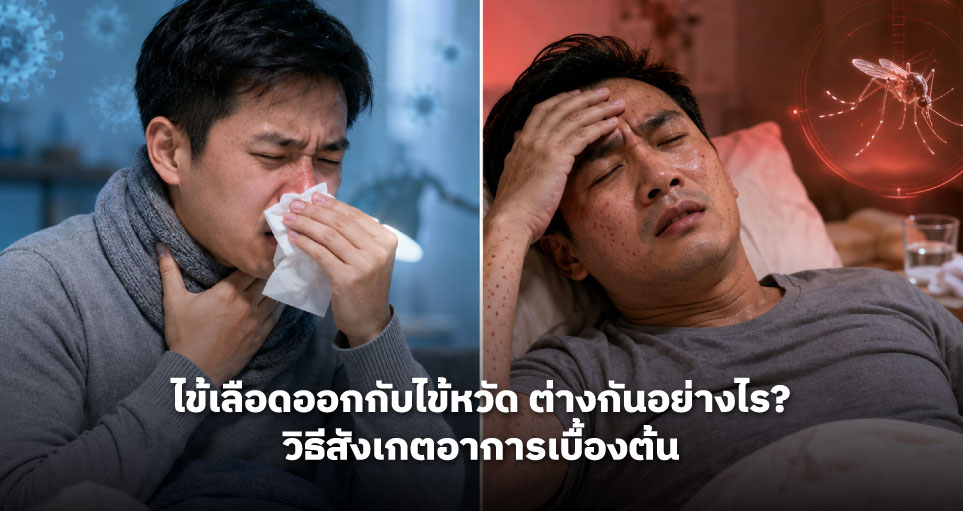ไข้เลือดออกกับไข้หวัด ต่างกันอย่างไร? วิธีสังเกตอาการเบื้องต้น