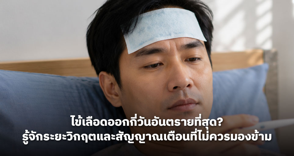 ไข้เลือดออกกี่วันอันตรายที่สุด? รู้จักระยะวิกฤตและสัญญาณเตือนที่ไม่ควรมองข้าม
